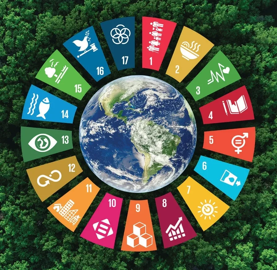 Sustentabilidade Omatapalo